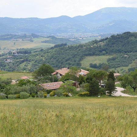 Agriturismo Terra Selvatica Valfabbrica Luaran gambar